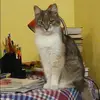 Отзыв от Фаина Любимова